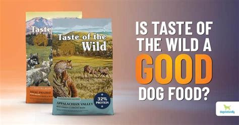 Is Taste of the Wild Dog Food Good? Exploring the Wild Side of Canine Nutrition